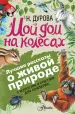 Миниатюра 1