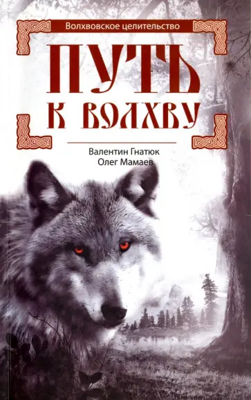 Гнатюк, Мамаев - Путь к Волхву обложка книги