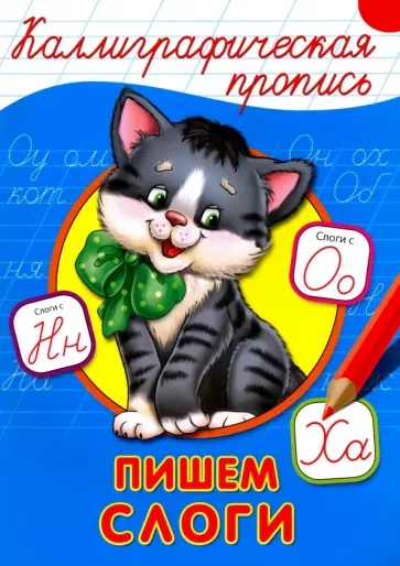 Каллиграфическая пропись. Пишем слоги обложка книги