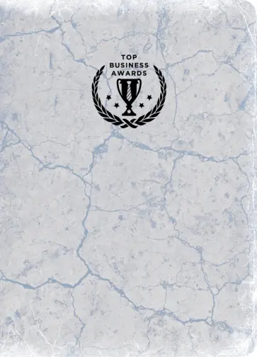 Сверхежедневник (серебро) обложка книги