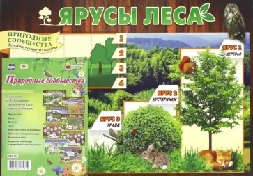 Комплект плакатов - 8 шт с методическим сопровождением. Природные сообщества. ФГОС обложка книги