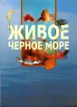 Вершинин Александр