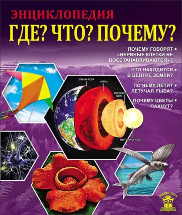 Оксана Балуева - Где? Что? Почему? обложка книги