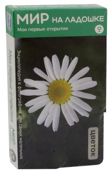 Мир на ладошке-1. Мои первые открытия (2002) обложка книги