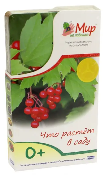 Мир на ладошке-1. Что растет в саду обложка книги