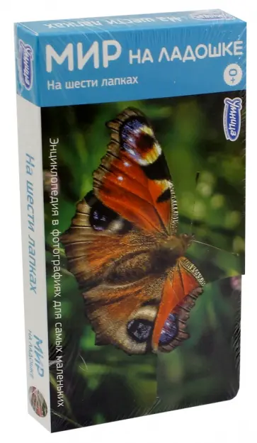 Мир на ладошке-2. На шести лапках (2014) обложка книги