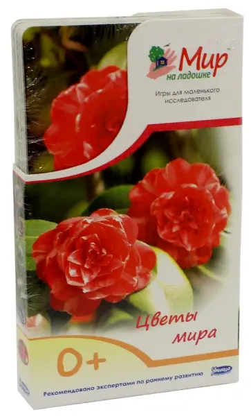 Мир на ладошке-3. Цветы мира (2020) обложка книги