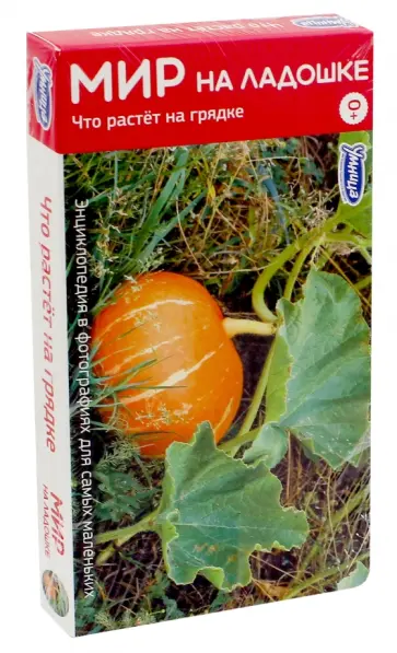 Мир на ладошке-3. Что растет на грядке (2021) обложка книги
