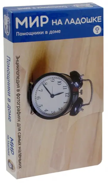 Мир на ладошке-4. Помощники в доме (2029) обложка книги