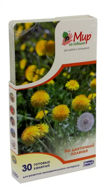 Мир на ладошке-5. На цветочной полянке (2034) обложка книги