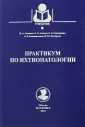 Евдокимова Елизавета Борисовна