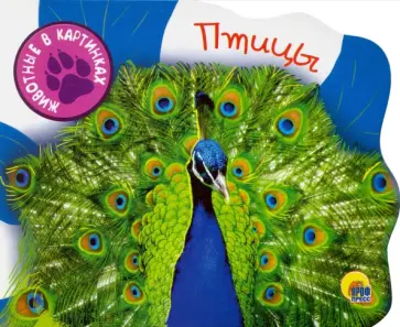 Птицы обложка книги