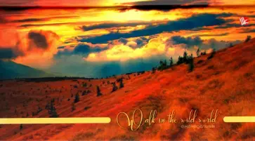 Планинг недатированный карманный "Закатное небо" (А6, 64 листа) (ПКЛ1666412) обложка книги