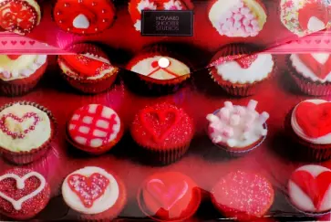 Папка-конверт "Howard Shooter Studios" с кнопкой, A4 (HS16-CH) обложка книги