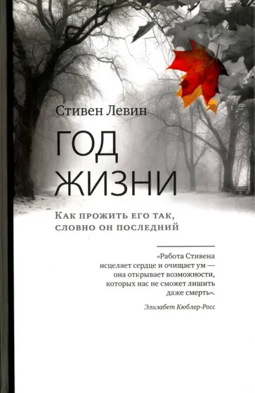 Стивен Левин - Год жизни. Как прожить его так, словно он последний обложка книги