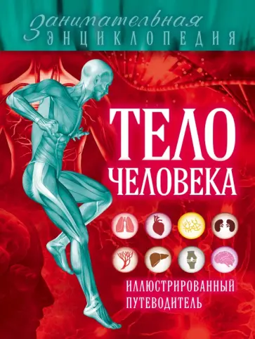 Лукашанец, Мазур - Тело человека. Иллюстрированный путеводитель обложка книги