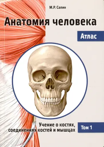 Михаил Сапин - Анатомия человека. Атлас. В 3-х томах. Том 1. Учение о костях, соединениях костей и мышцах обложка книги