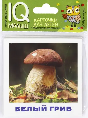 Грибное лукошко. Набор карточек обложка книги