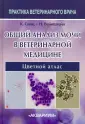 Вейнштейн Николь М.