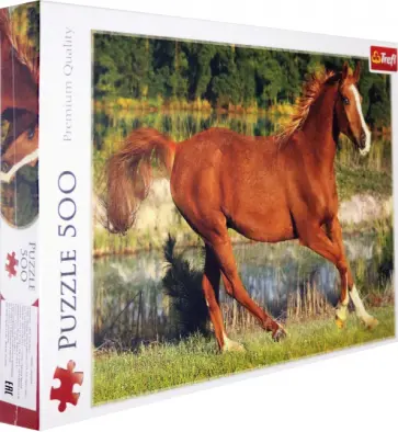Пазл-500 "Красота галопа" (37184) обложка книги