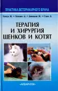 Смит Жюли