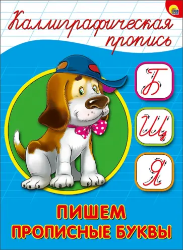 Каллиграфическая пропись. Пишем прописные буквы обложка книги