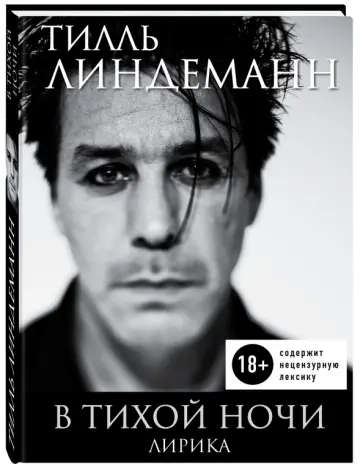 Тилль Линдеманн - В тихой ночи. Лирика обложка книги