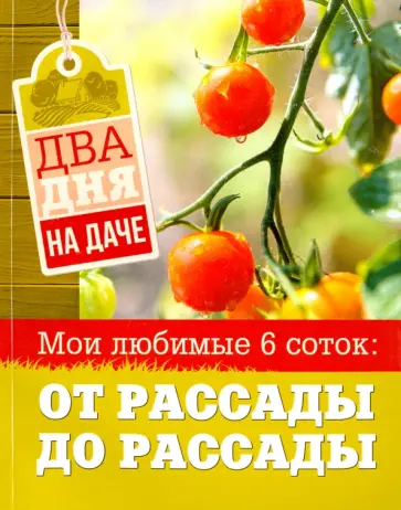Два дня на даче. Мои любимые 6 соток обложка книги