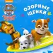 Миниатюра 1