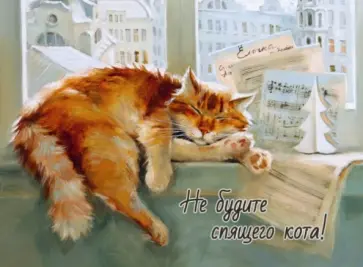 Магнит "Не будите спящего кота!" обложка книги