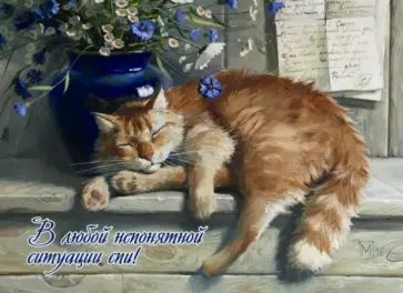 Магнит "В любой непонятной ситуации - спи!" обложка книги