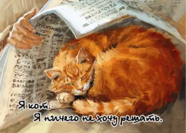 Магнит "Я кот. Я ничего не хочу решать" обложка книги