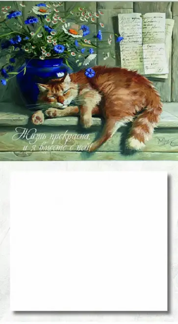 Магнит. Жизнь прекрасна и я вместе с ней обложка книги