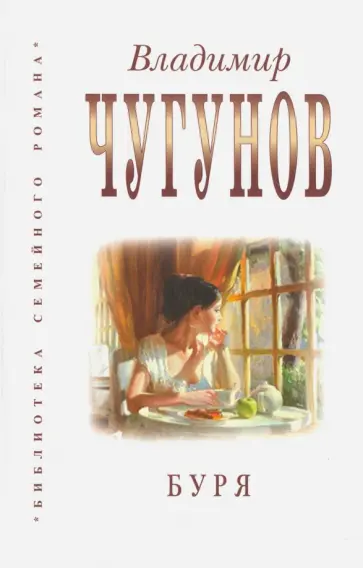 Владимир Чугунов - Буря обложка книги