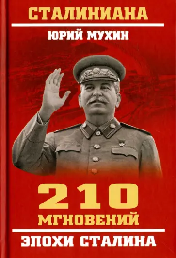 Юрий Мухин - 210 мгновений эпохи Сталина обложка книги