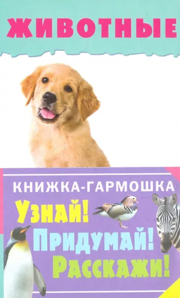 Животные Животные обложка книги