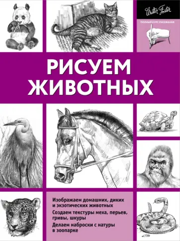 Миа Тавонатти - Рисуем животных Миа Тавонатти - Рисуем животных обложка книги