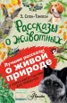 Миниатюра 1