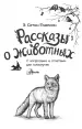 Миниатюра 2