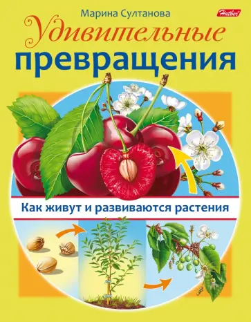 Марина Султанова - Удивительные превращения. Как живут и развиваются растения Марина Султанова - Удивительные превращения. Как живут и развиваются растения обложка книги