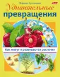 Что из чего