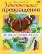 Что из чего