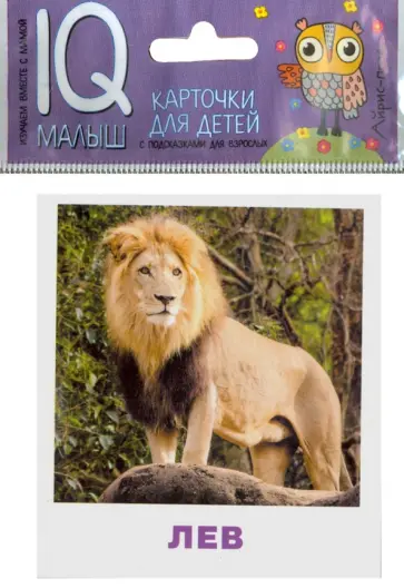 Н. Ходюшина - Умный малыш. Животные жарких стран. Набор карточек для детей обложка книги