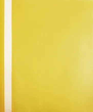 Папка-скоросшиватель (пластиковая, А4, желтая) (255082-11) обложка книги