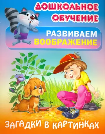 Загадки в картинках обложка книги