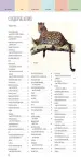 Миниатюра 5