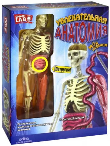 Увлекательная Анатомия обложка книги