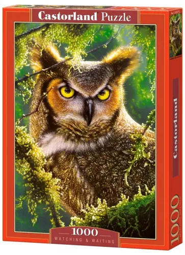 Puzzle-1000 "Сова. Наблюдение" (C-103577) обложка книги