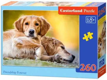 Puzzle-260 MIDI "Верная дружба" (B-27361) обложка книги