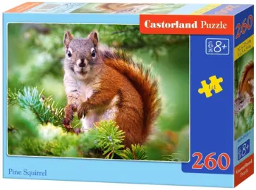 Puzzle-260 MIDI "Белка" (B-27422) обложка книги